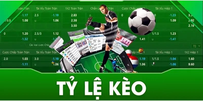  Thắng lớn khi chơi cá cược theo kèo Malaysia tại VN88